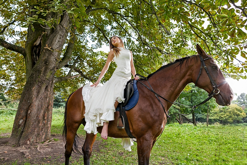 sesja ślubna, sesja ślubna na koniu, sesja z końmi, stadnina koni piątnica, stadnina koni łomża