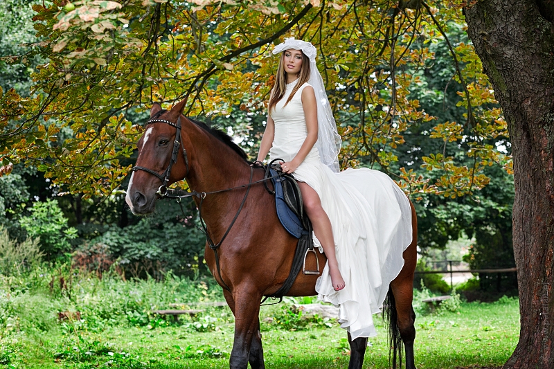 ORK w Kisielnicy, Ośrodek Rehabilitacji Konnej, piątnica konie, sesja na koniach, zdjęcia plenerowa na koniu, ślubny plener na koniu, suknia ślubna jazda konno, panna młoda na koniu ORK w Kisielnicy, Ośrodek Rehabilitacji Konnej, piątnica konie, sesja na koniach, zdjęcia plenerowa na koniu, ślubny plener na koniu, suknia ślubna jazda konno, panna młoda na koniu