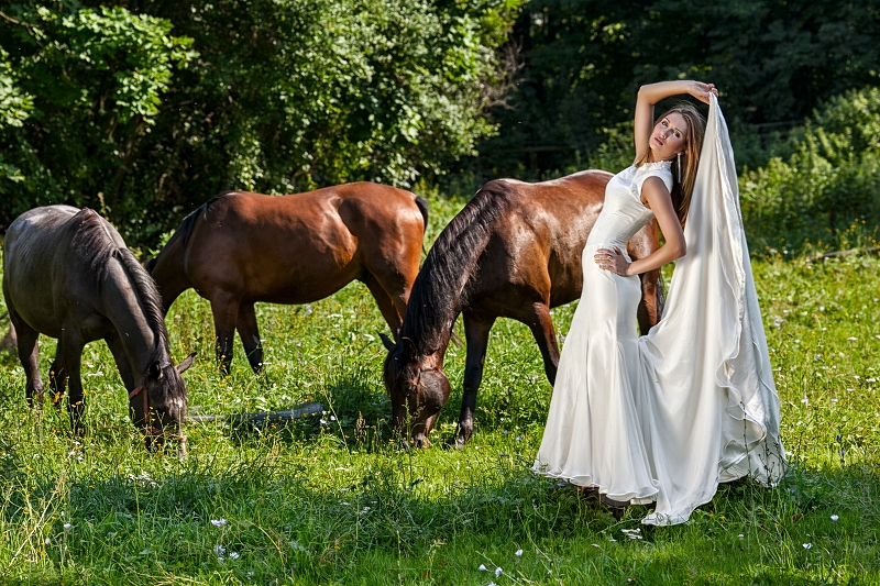 sesja ślubna, sesja ślubna na koniu, sesja z końmi, stadnina koni piątnica, stadnina koni łomża sesja ślubna, sesja ślubna na koniu, sesja z końmi, stadnina koni piątnica, stadnina koni łomża