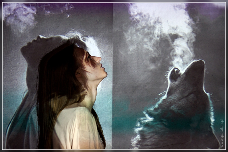 IMG 9979 nomex 800Q100MF086222W9 Kuriozalna sesja z projektorem