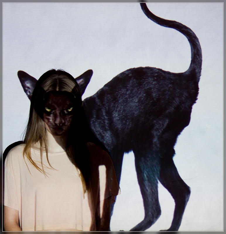 kotek 2 nomex 800Q100MF086222W9 Kuriozalna sesja z projektorem