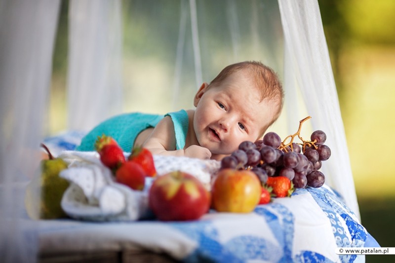 Foto piknik w Venecji | PATALAN.PL | fotograf Łomża, Zambrów, Ostrołęka, Białystok, Warszawa